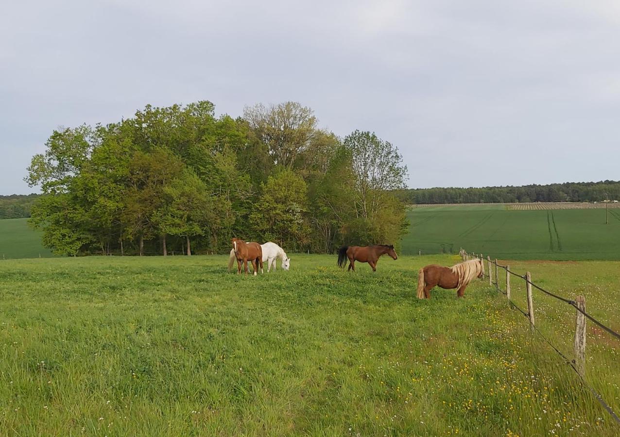 Les Pres Du Petit Morlu - Proche Beauval Villa Saint-Romain-sur-Cher Exteriör bild