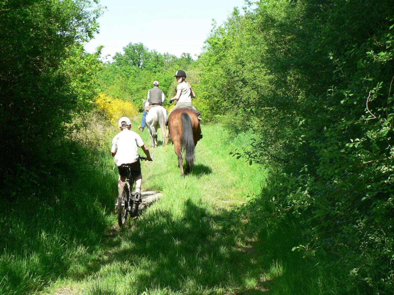 Les Pres Du Petit Morlu - Proche Beauval Villa Saint-Romain-sur-Cher Exteriör bild