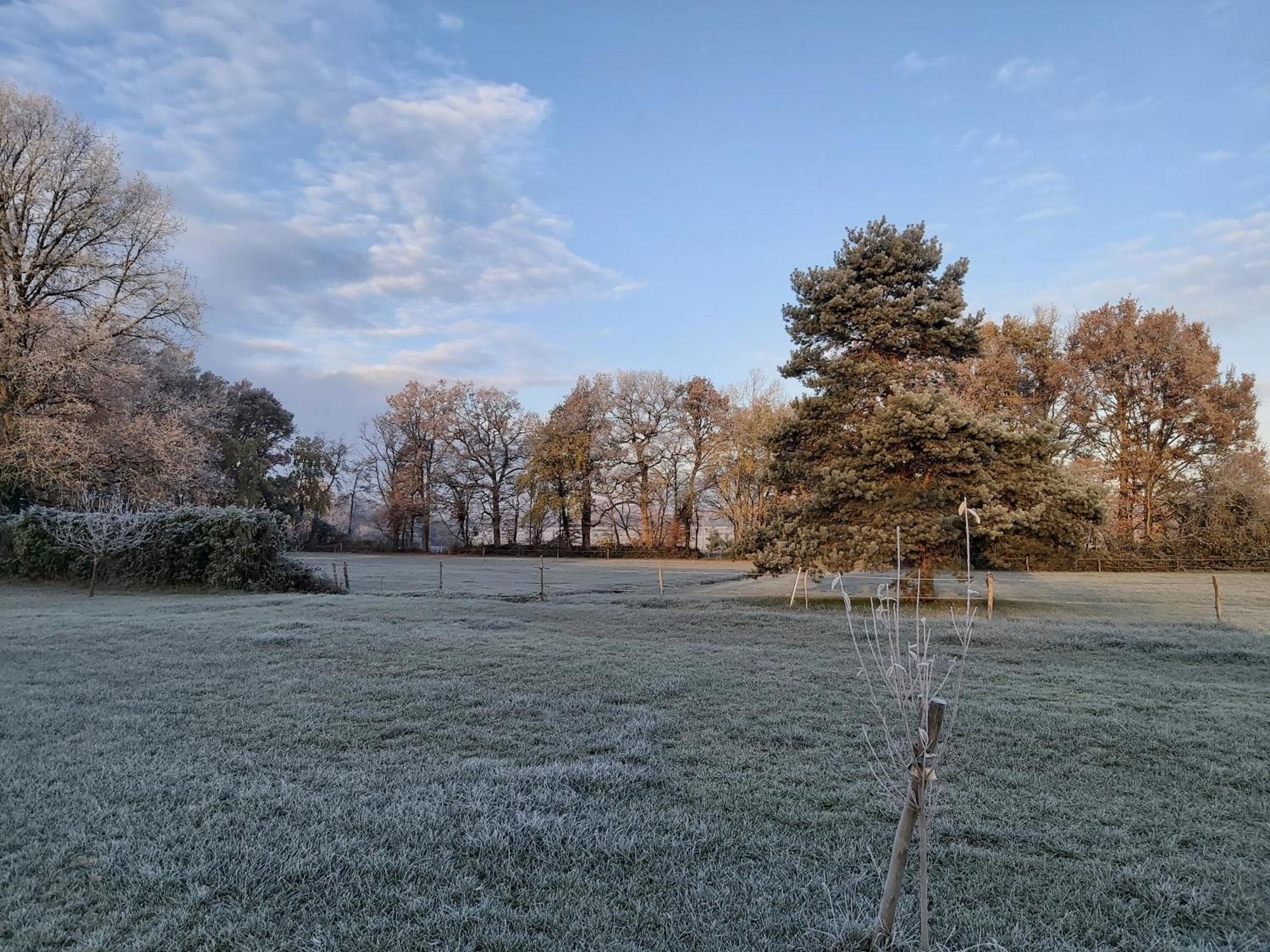 Les Pres Du Petit Morlu - Proche Beauval Villa Saint-Romain-sur-Cher Exteriör bild